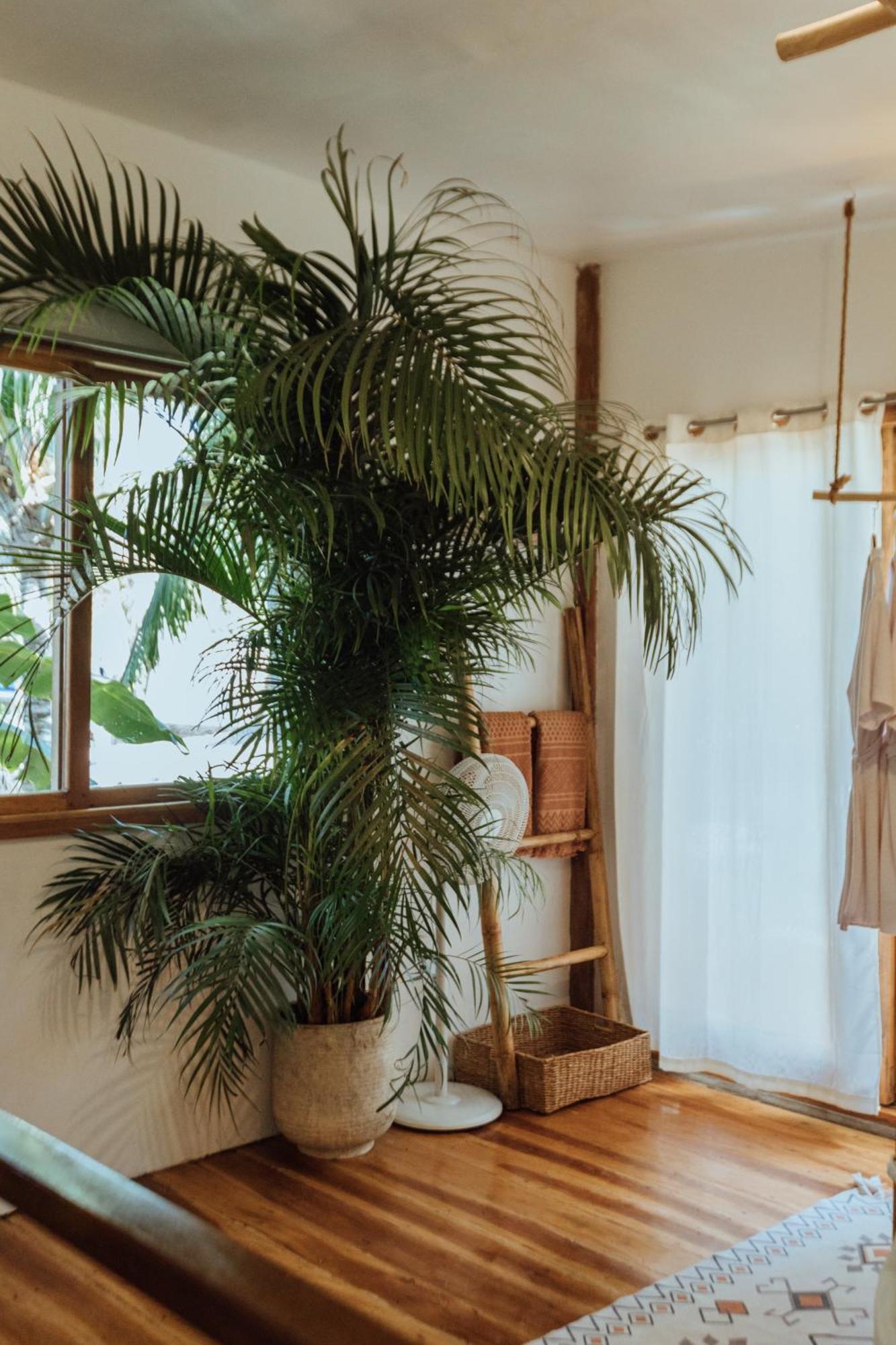 Mango Tango Villas Siargao General Luna  Dış mekan fotoğraf